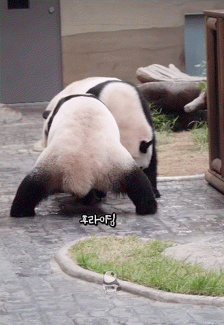 kedsUc.gif