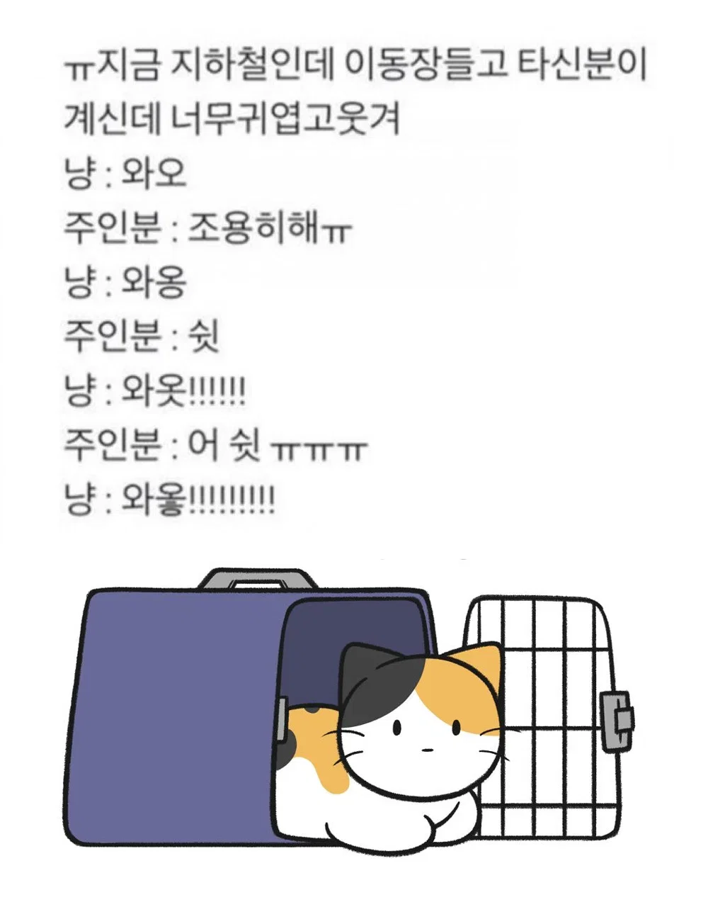 kgRxWp