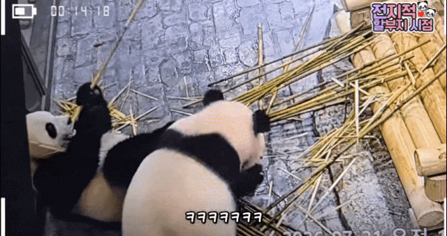 khwrdj.gif