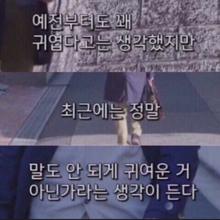kjLwpD