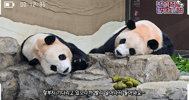 kjNAKJ.gif