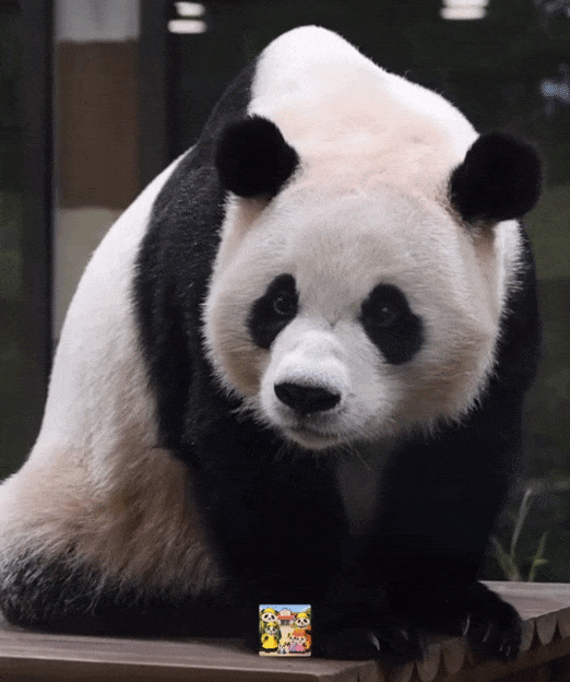 kjeuQv.gif