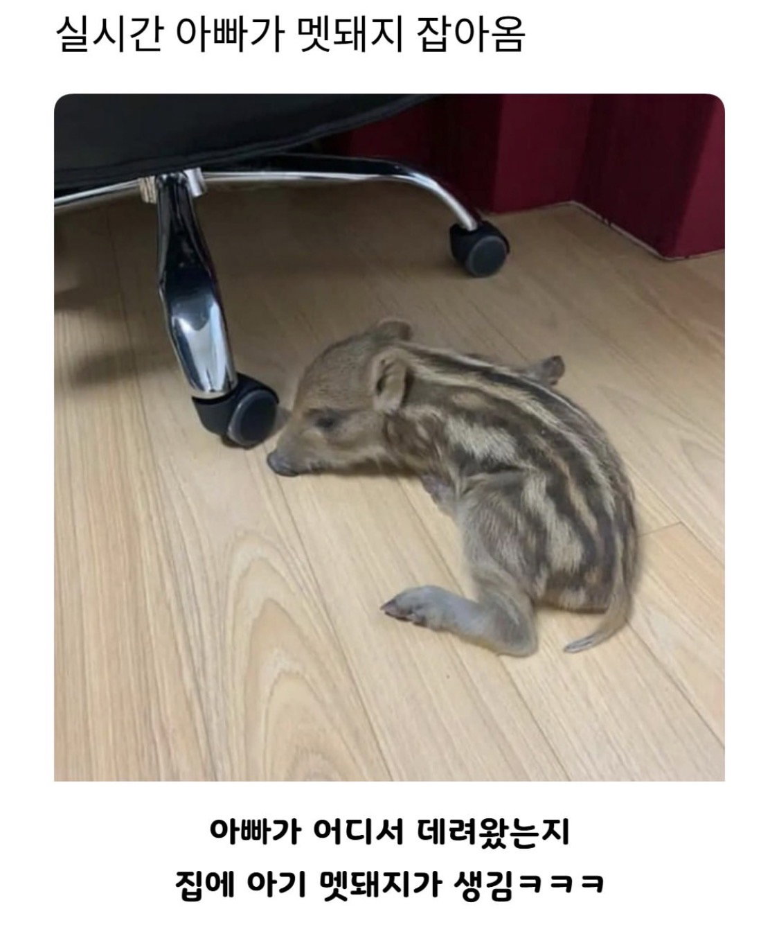 kjsbNW