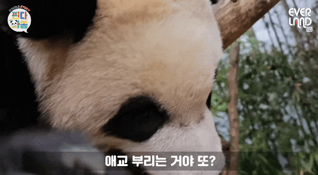 kmILsr.gif