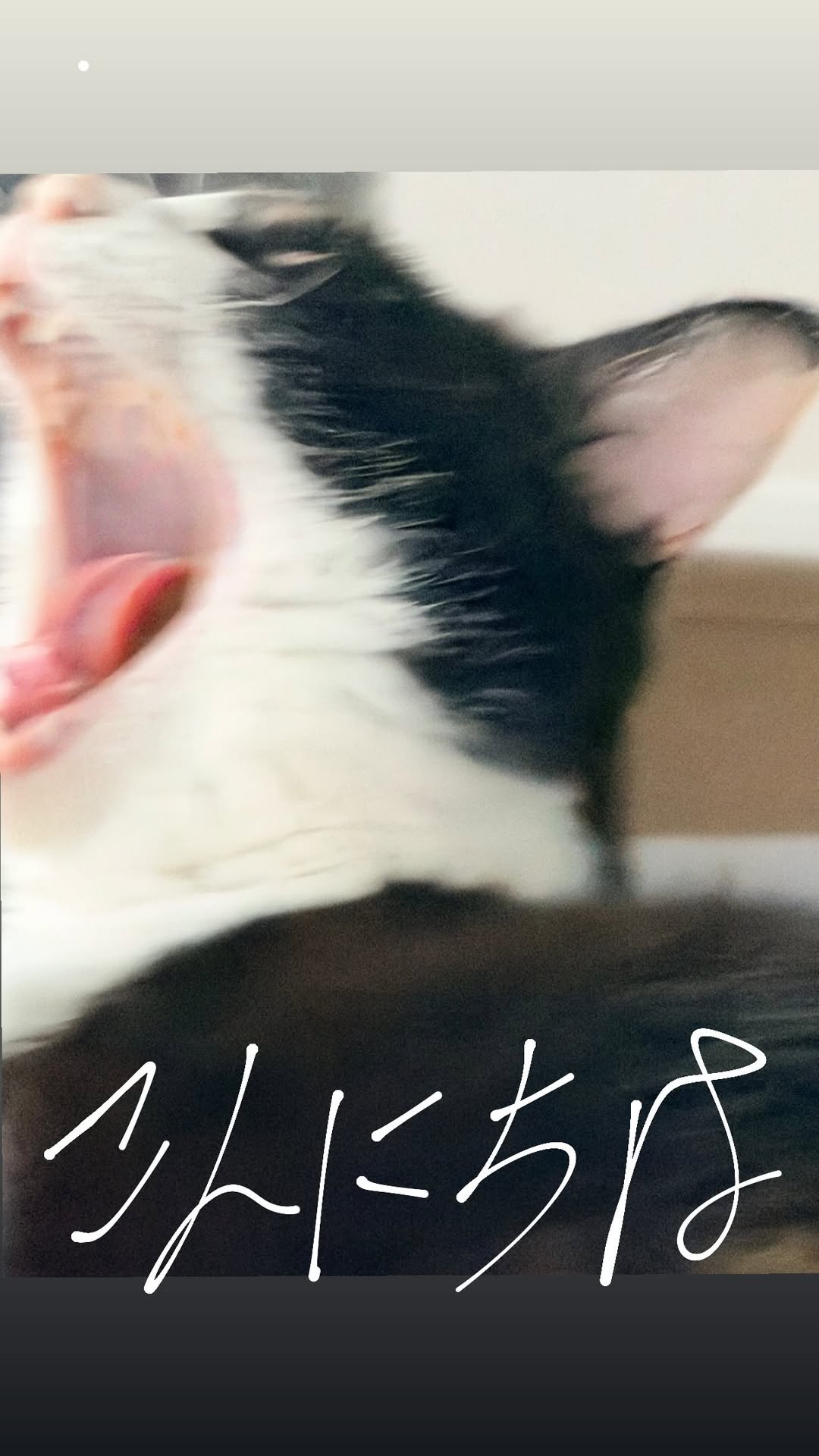 knemas