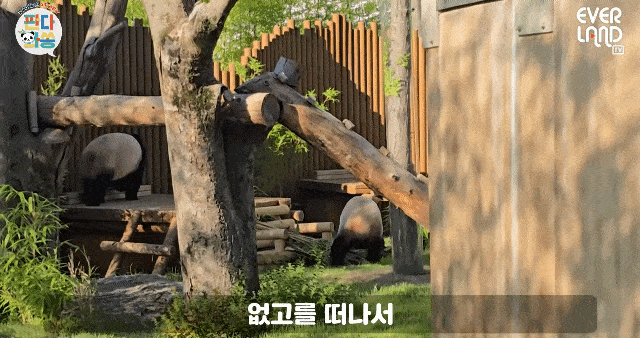 kpMunz.gif