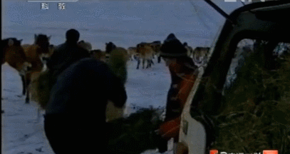 kqFTvJ.gif