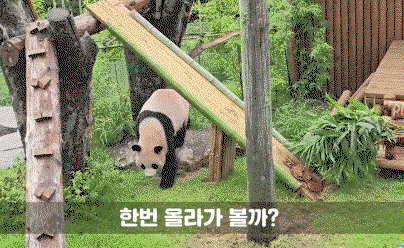 kqOtVR.gif