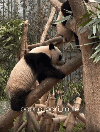 kqdvAK.gif