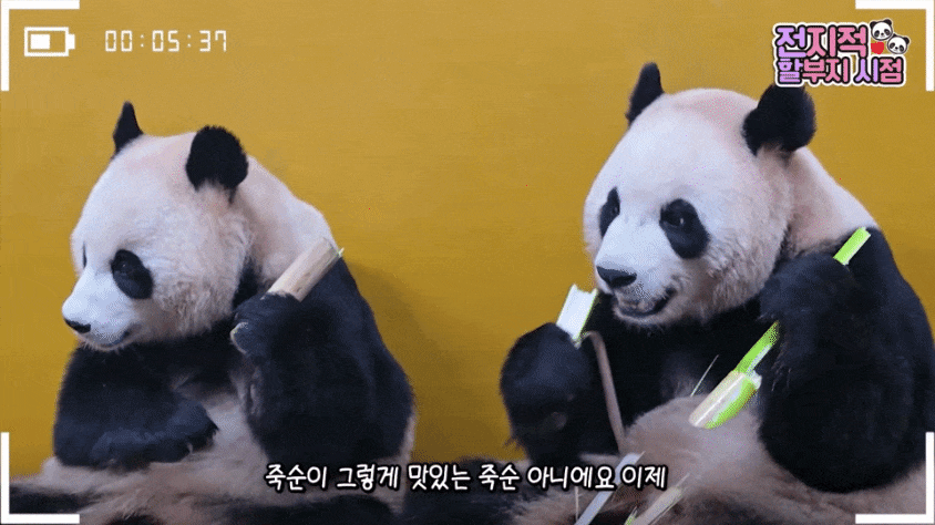 krBiQK.gif