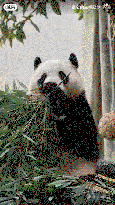 ktvZrH.gif