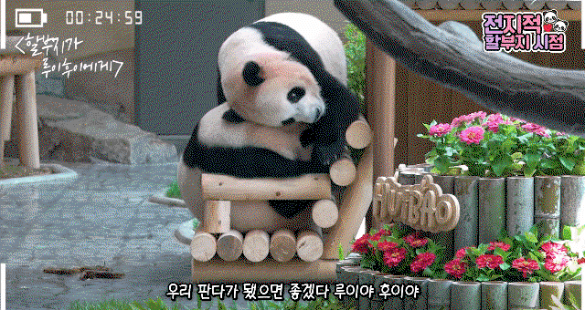 ktykNY.gif