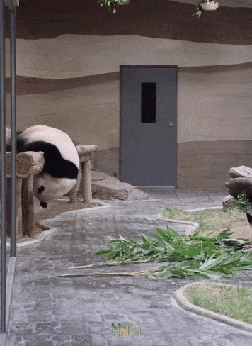 kunbPg.gif