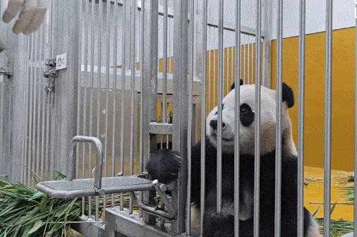 kwFqKq.gif