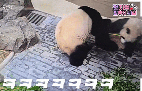kwIjwK.gif