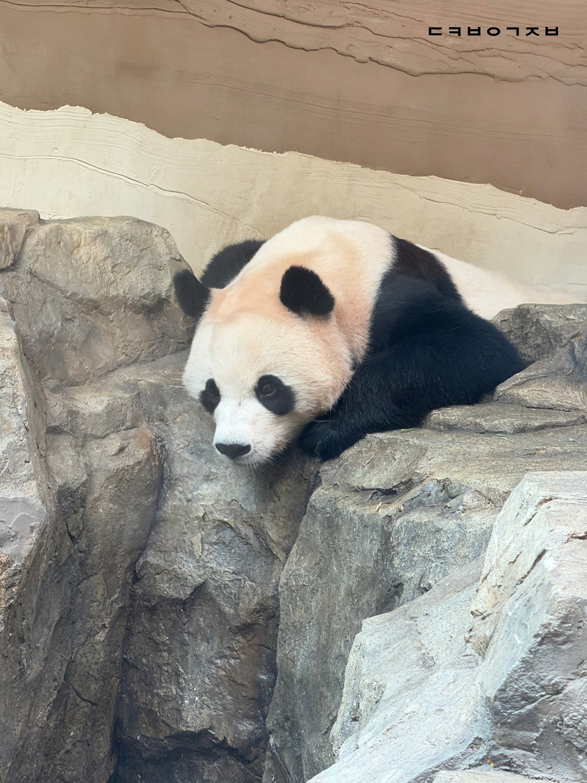 kxBOXU