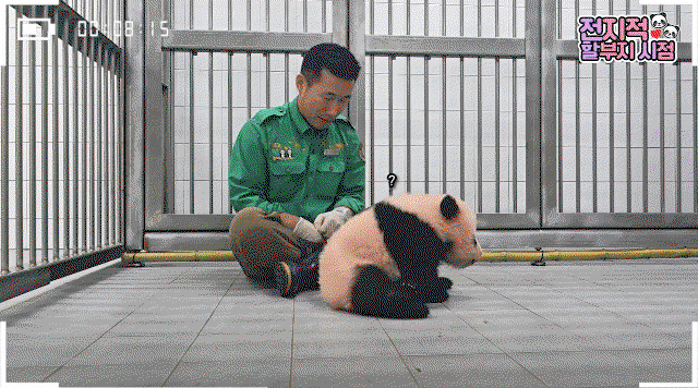 kyNbLY.gif