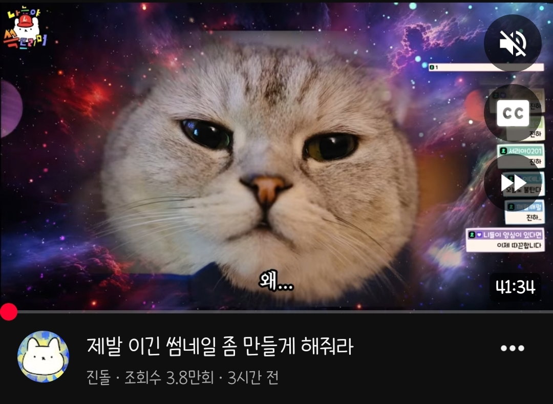 lDQdZD