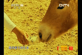 lISSQf.gif