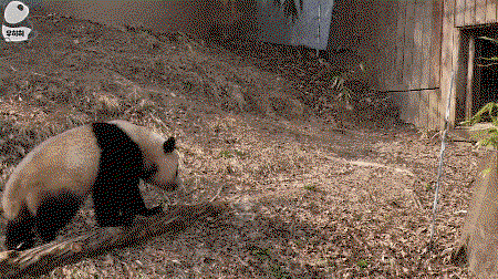 lKAqrC.gif