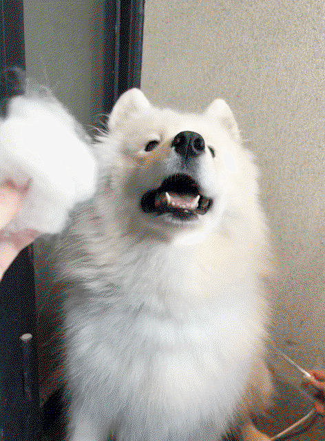 lKEZuq.gif