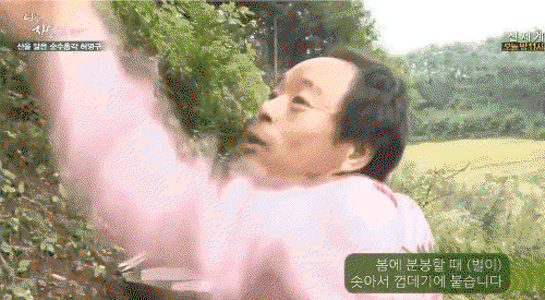 lMeTTV.gif