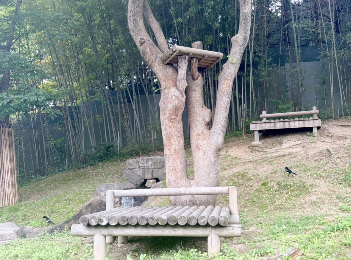 lPHclC