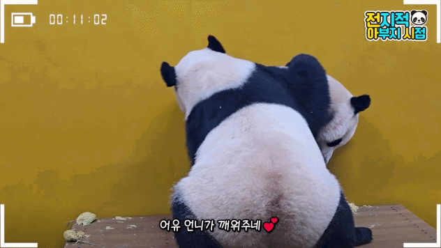 lRVZQl.gif