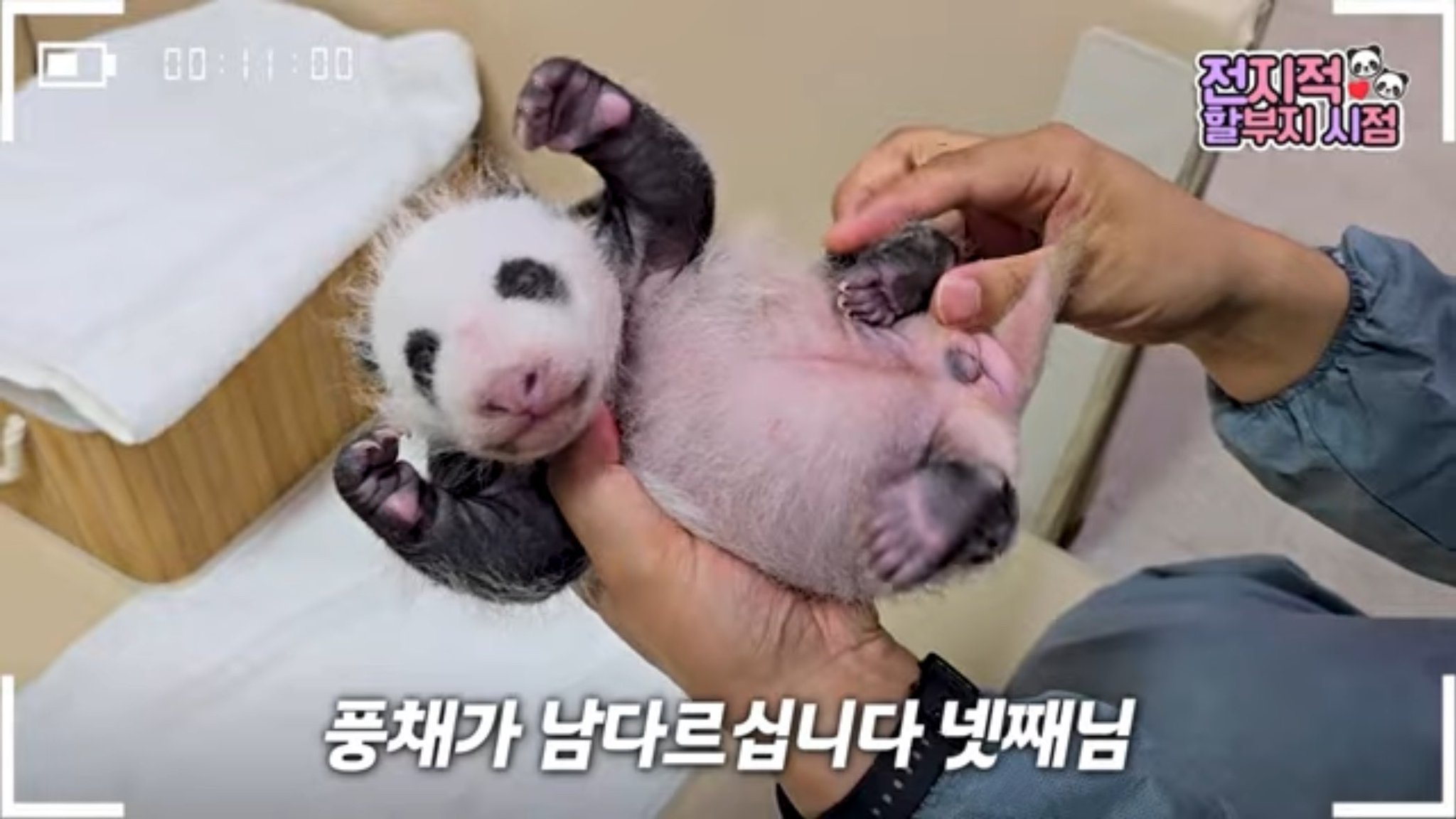 lUTrkF