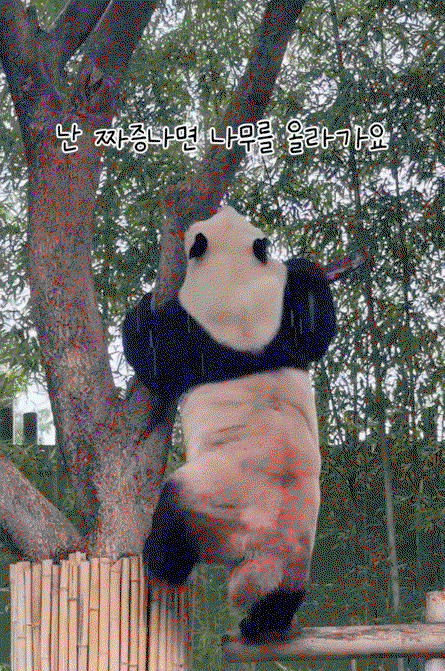 lUycWr.gif