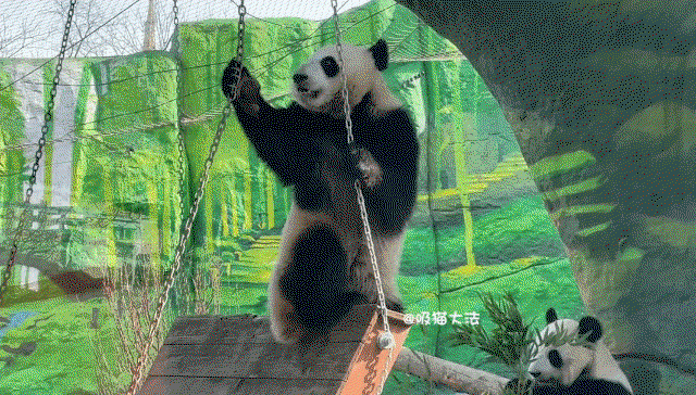 lWIBZn.gif