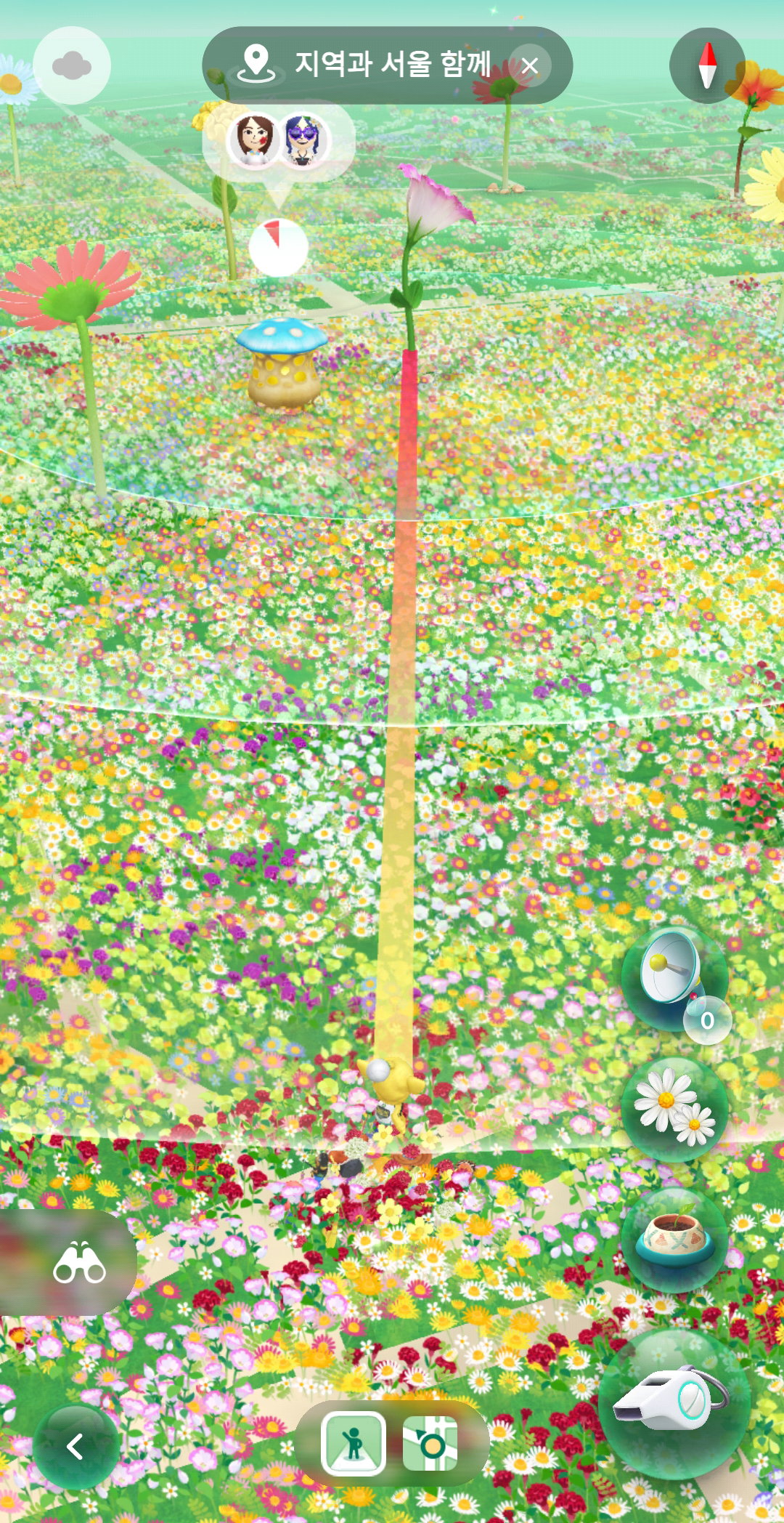 lYaucE
