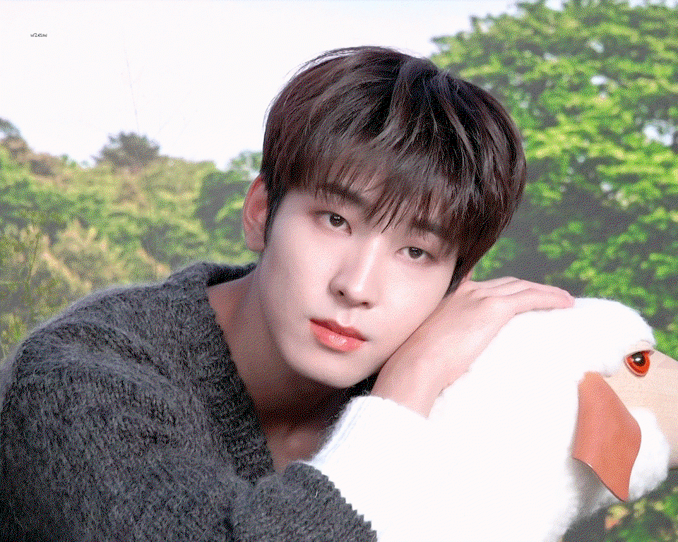 laPJkc.gif