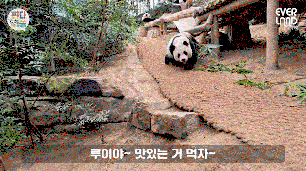 lbDOZO.gif