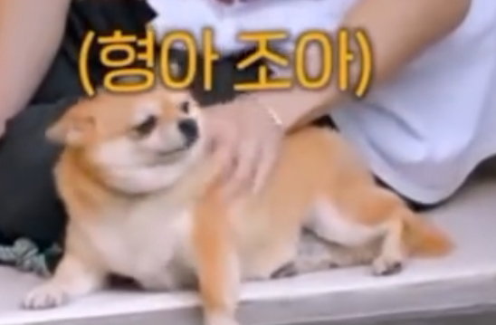 ldOOHQ