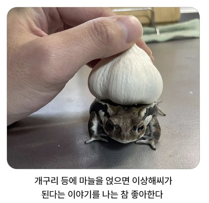 leEJGi