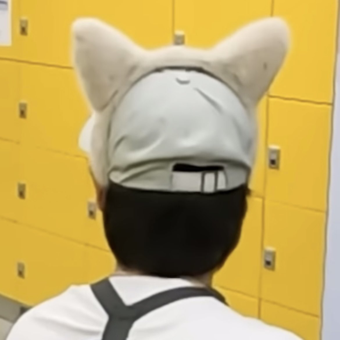 lfVfdO
