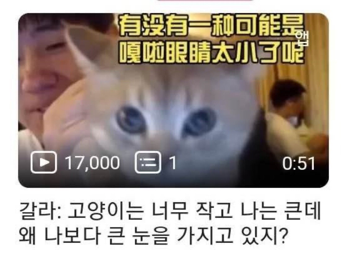 lgnvWJ
