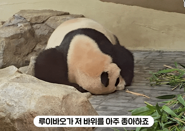 lhvUGM.gif