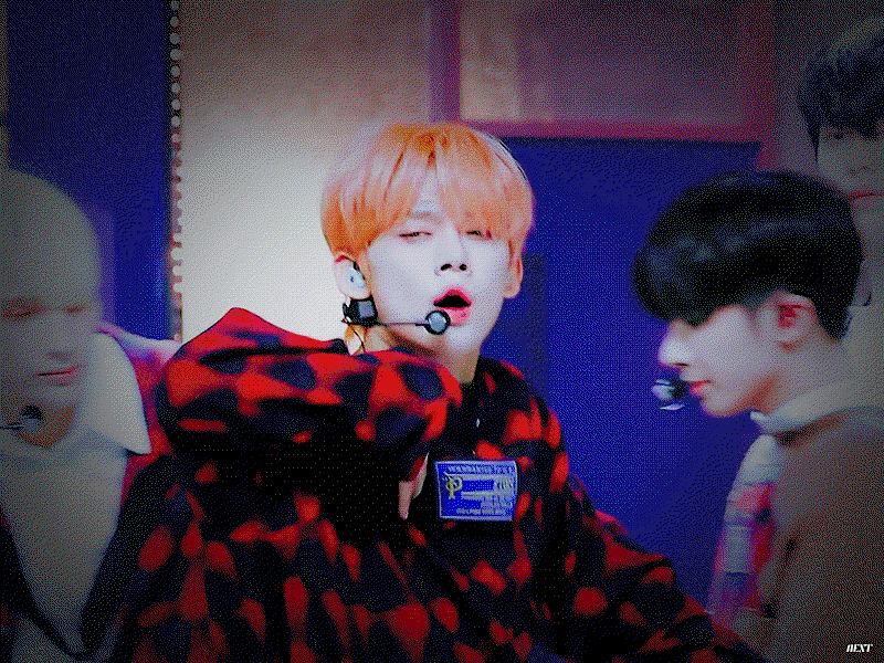 lkipRV.gif