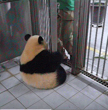 lkoMJI.gif