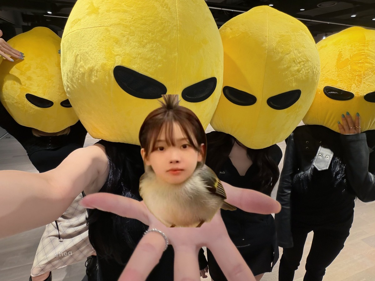 llccMN