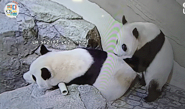 loNRWz.gif