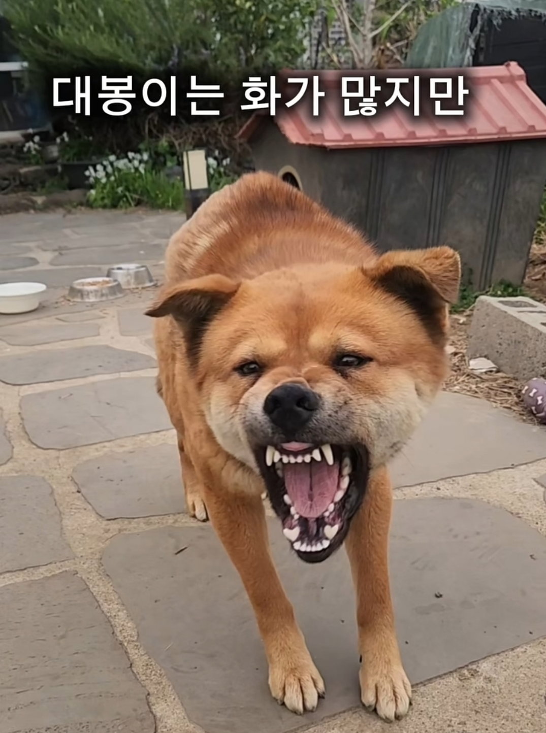 ltdJEk