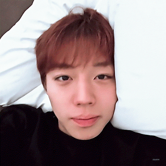 lusPrB.gif