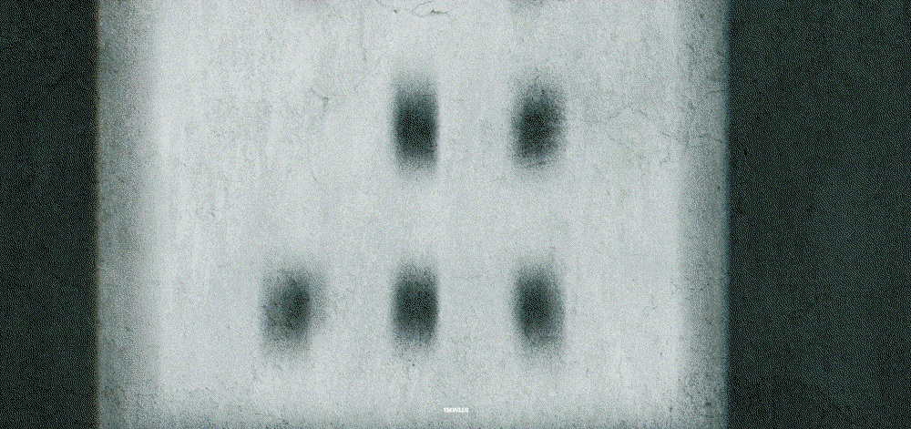 mAcSoL.gif