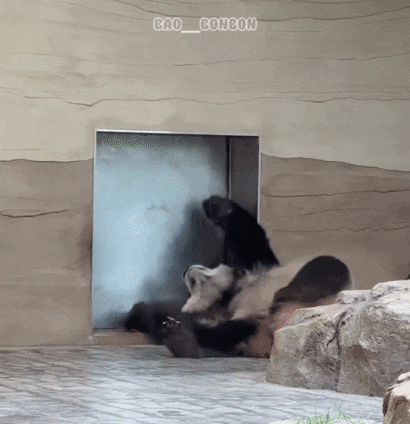 mBJRDE.gif