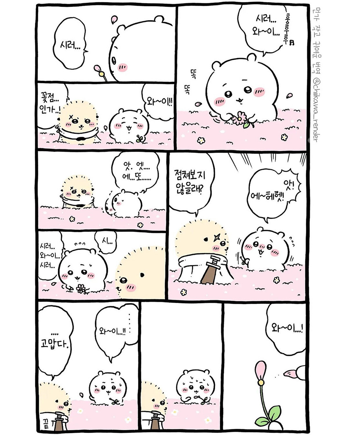 mBwRXP
