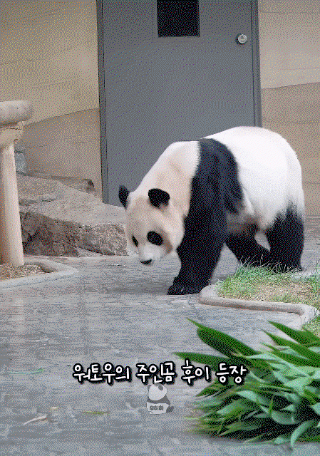 mDPcCh.gif