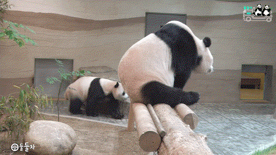 mEiEBT.gif